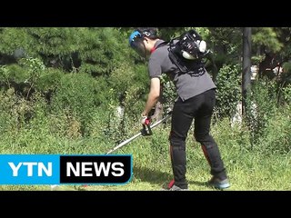 예초기 사고 3건 중 2건 추석 앞두고 발생 / YTN