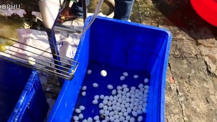 真棒自製發明2016＃1 看傻眼了