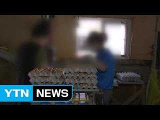 정부, '엉터리 발표' 사과...'살충제 낙인' 농장 눈물 / YTN