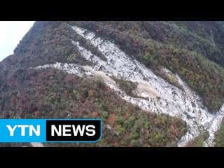 기상이변에 산사태 가속..."생태계 훼손 심각" / YTN