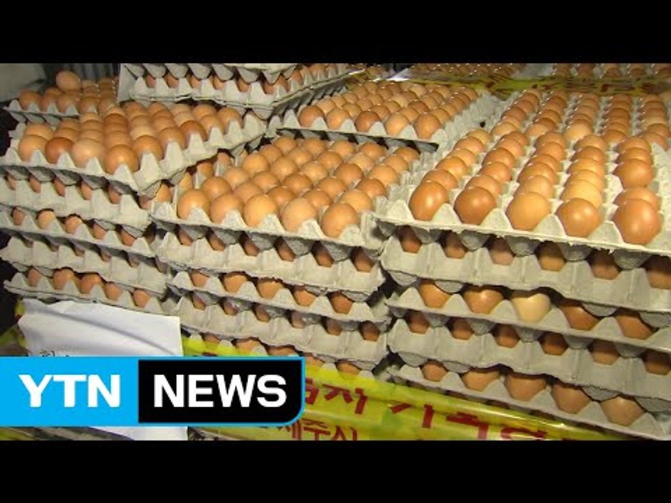 식약처, 내일 '살충제 달걀' 인체 위해성 평가결과 발표 / YTN