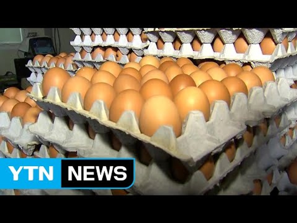 시도 교육청, 학교 급식에 달걀 사용 중지 / YTN