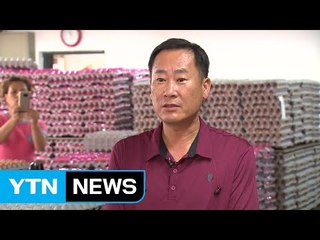 "문제 없는 달걀도 많은데"...업주들 '한숨' / YTN