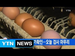 [YTN 실시간뉴스] '살충제 달걀' 추가확인...오늘 검사 마무리  / YTN