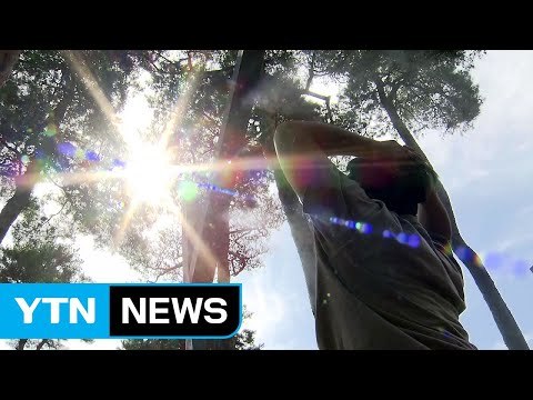 절정에 이른 무더위...거리 열기 식히는 '인공 안개' / YTN