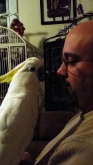 Cockatoo Growls Like a Dog