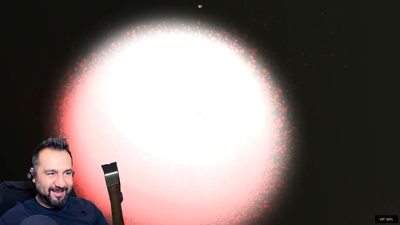 KOLEKSİYONCU! | SNEAK THIEF