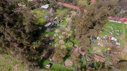 Mision encubierta 04 - Perros de pelea -pt3