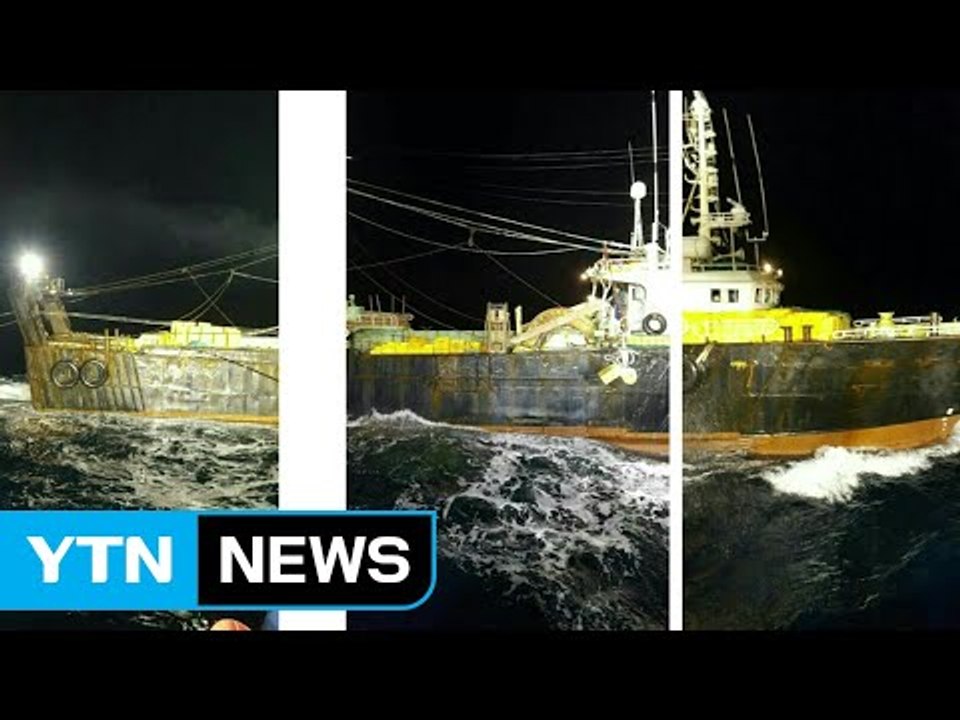오징어 2천여 톤 불법 싹쓸이...어민 36명 무더기 적발 / YTN