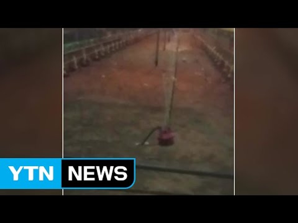 경기 안성 양계장 침수...수만 마리 폐사 피해 / YTN