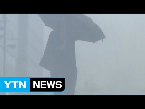 [날씨] 전북 호우경보...밤사이 중부도 150mm 호우 / YTN