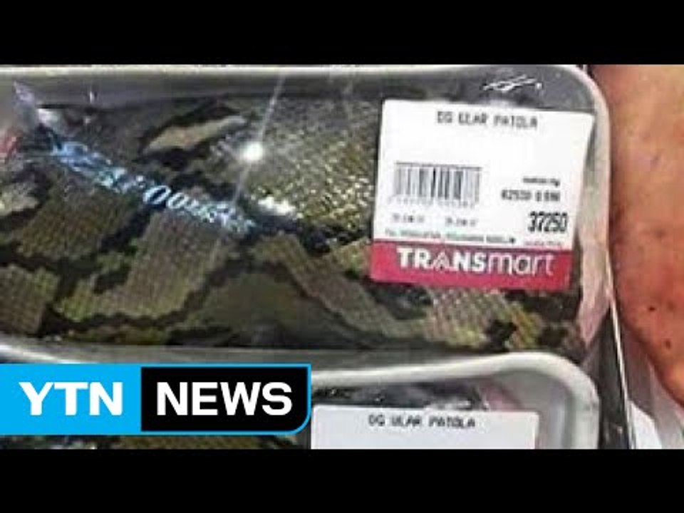 인니 대형마트, 비단구렁이 도축 판매 논란 / YTN