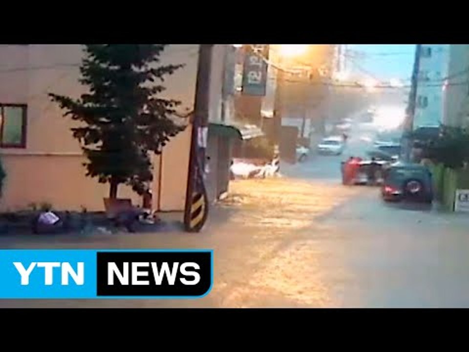 세종시 집중호우...주택침수·토사붕괴 잇따라 / YTN