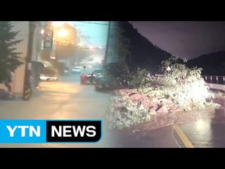 세종시 폭우...도로 침수·토사 붕괴 잇따라 / YTN