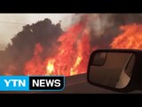 폭염에 산불...이글거리는 美 캘리포니아 / YTN