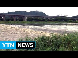 충청 일부 호우주의보...비닐하우스 침수 / YTN