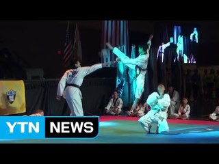 꿈을 심어주는 한인 체육대회 / YTN