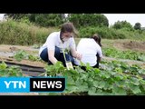 한류우드 : 외국인 유학생 농촌 체험 