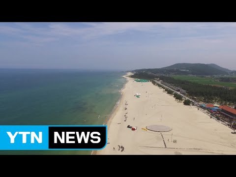 '드론 구조대, 모기 없는 해변'...동해안 해수욕장 개장 / YTN