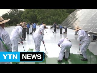 [울산] 옥상 태양열 반사해 실내 온도 저하 '쿨 루프' 조성 / YTN