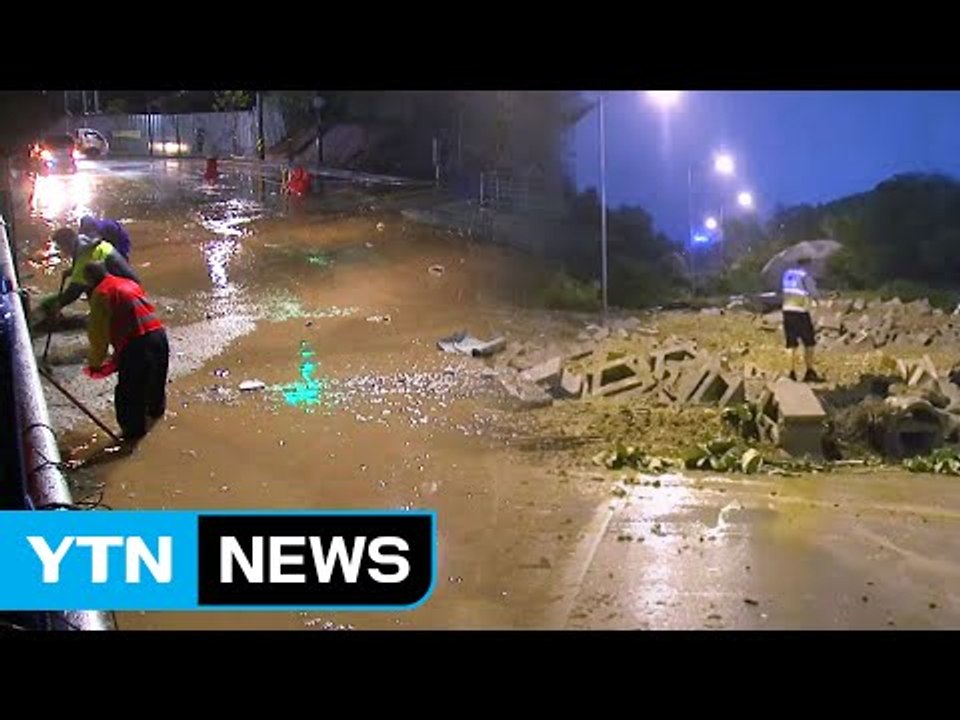 물폭탄에 집·도로 침수...고속도로 통행 중단 / YTN