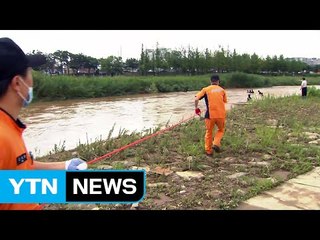 폭우로 불어난 하천 노인 빠져 숨져 / YTN