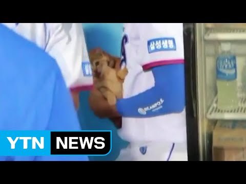 [좋은뉴스] 28년간 300번 헌혈로 생명 나눔 실천 / YTN