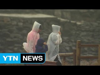 본격 장마 시작과 함께 무더위·열대야도 온다 / YTN