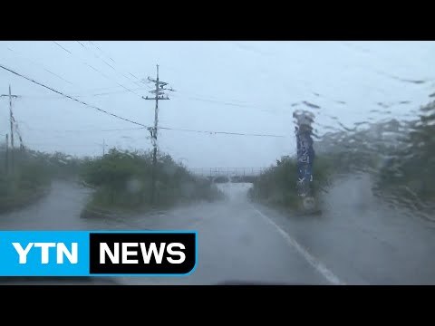 [날씨] 가뭄과 장마 사이...곳곳 게릴라성 호우 / YTN