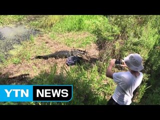 [영상] "찍지 마!" 성난 악어의 기습 공격 / YTN
