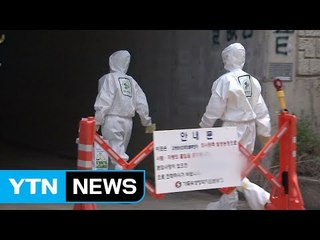 대구 AI 의심 토종닭 고병원성 확진 / YTN