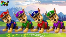 Learn Colors PAW Patrol CHASE Wrong Colors Hat The Alphabet Song Nursery Rhymes for kids fun-5juYtVHLIso