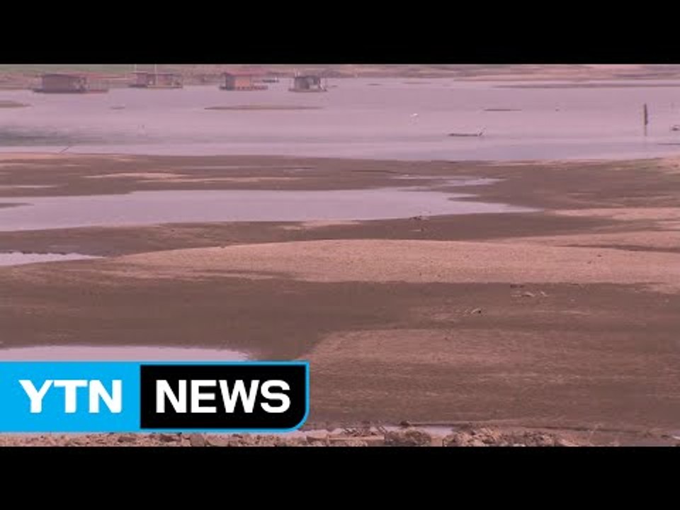 최악의 가뭄에 저수율 뚝...피해 눈덩이 / YTN