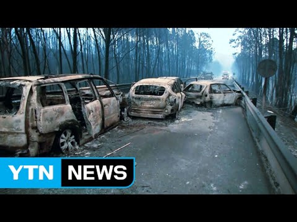 포르투갈 대형 산불...60여 명 사망 / YTN