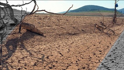 The Drought: A Slow Suffering