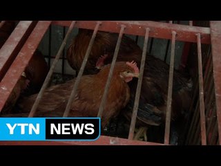 당정 "AI 전담 조직 신설 등 관련 법률 개정" / YTN
