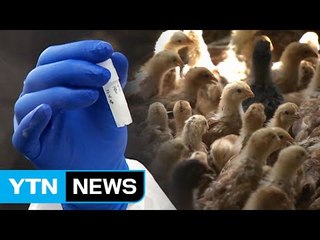 철 없는 AI...백신 도입 본격 논의 / YTN