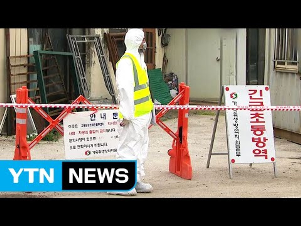 경남 고성 AI 발생...중간 유통상인들 재조사 / YTN