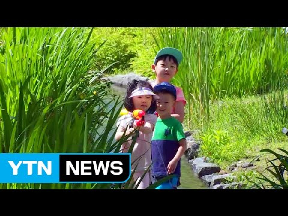 [날씨] 당분간 맑고 더위 계속...자외선·오존 주의 / YTN