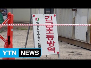 AI 일주일 만에 30여 곳...경남 고성 의심 신고 / YTN