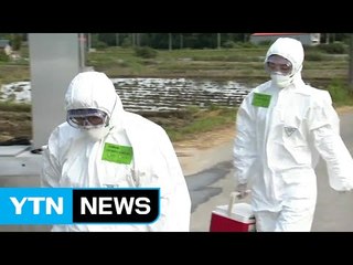 경남 고성서 잇따라 AI...전북 의심 신고 없어 / YTN