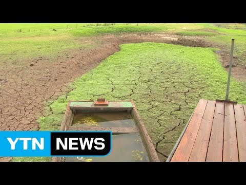 반가운 단비, 근본적인 가뭄 해갈에는 역부족 / YTN