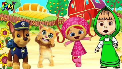 Wrong Eyes Masha Team Umizoomi Paw Patrol Talking Ginger The Alphabet Song Nursery Rhymes for kids-E3tjDhWI2eA