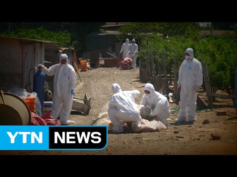 '전북' 중심 확산...전국 25곳 발생 / YTN