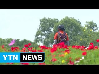 [날씨] 밤사이 中 스모그...내일 중서부 한때 소나기 / YTN