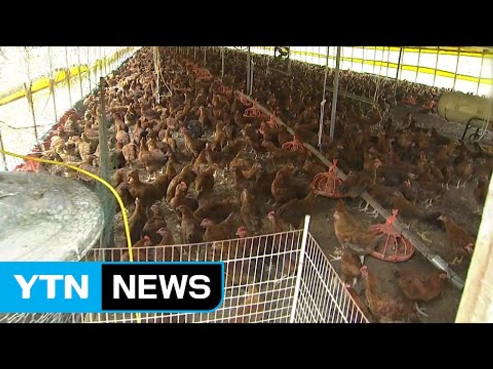 전북 군산 등 4건 추가...전국 25곳 발생 / YTN