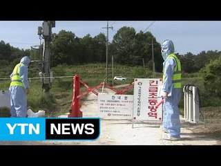 전국 27곳으로 확산...'군산발 AI' 확인 / YTN