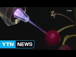 전전후 '플라스마' 기술...삶의 질 높인다 / YTN