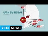 AI 위기경보 '심각'...전국 확산 가능성 비상 / YTN