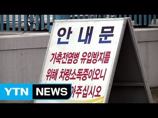 두 달 만에 제주에서 AI 의심 사례 발생 / YTN